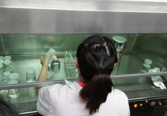 ภาพกิจกรรม โปรแกรมวิชาชีววิทยา ได้มีการจัดค่ายเทคนิคปลอดเชื้อและเพาะเลี้ยงเนื้อเยื่อพืช