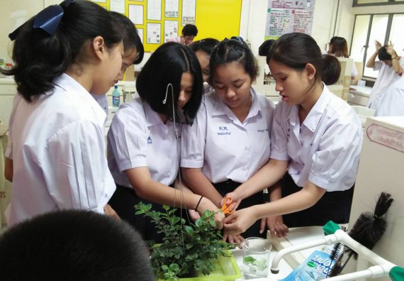 ภาพกิจกรรม โปรแกรมวิชาชีววิทยา ได้มีการจัดค่ายเทคนิคปลอดเชื้อและเพาะเลี้ยงเนื้อเยื่อพืช