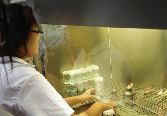 ภาพกิจกรรม โปรแกรมวิชาชีววิทยา ได้มีการจัดค่ายเทคนิคปลอดเชื้อและเพาะเลี้ยงเนื้อเยื่อพืช