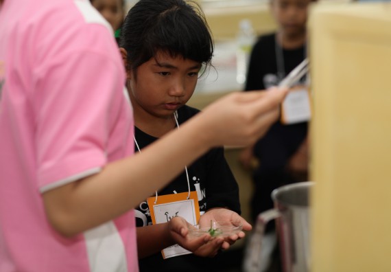 ภาพกิจกรรม คณะวิทยาศาสตร์และเทคโนโลยี จัดกิจกรรมค่ายวิทยาศาสตร์โรงเรียนเจริญสุขอุดมวิทยา