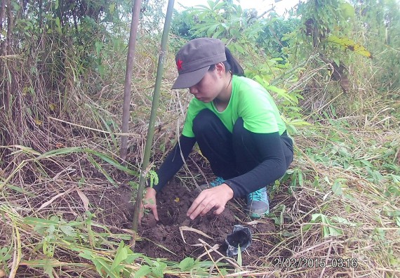 ภาพกิจกรรม โปรแกรมวิชาวิทยาศาสตร์สิ่งแวดล้อม คณะวิทยาศาสตร์ และเทคโนโลยี จัดกิจกรรมปลูกต้นไม้