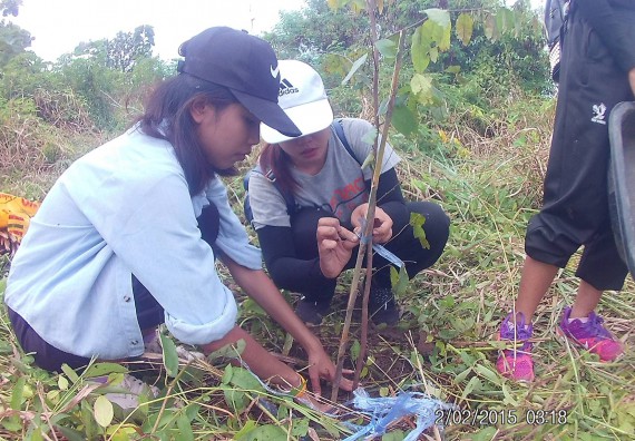 ภาพกิจกรรม โปรแกรมวิชาวิทยาศาสตร์สิ่งแวดล้อม คณะวิทยาศาสตร์ และเทคโนโลยี จัดกิจกรรมปลูกต้นไม้