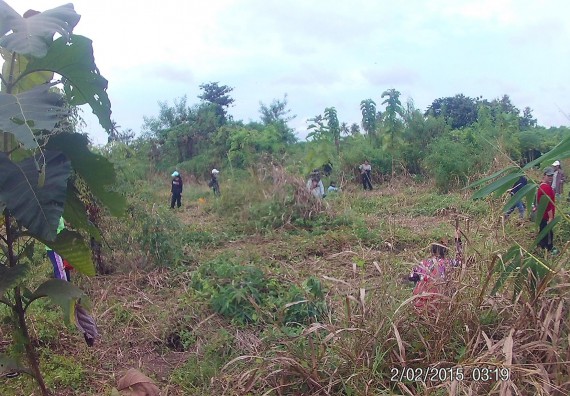ภาพกิจกรรม โปรแกรมวิชาวิทยาศาสตร์สิ่งแวดล้อม คณะวิทยาศาสตร์ และเทคโนโลยี จัดกิจกรรมปลูกต้นไม้