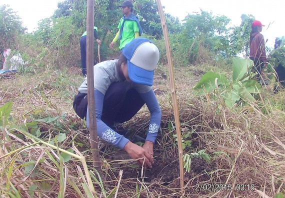 ภาพกิจกรรม โปรแกรมวิชาวิทยาศาสตร์สิ่งแวดล้อม คณะวิทยาศาสตร์ และเทคโนโลยี จัดกิจกรรมปลูกต้นไม้