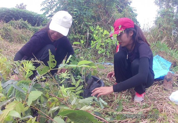 ภาพกิจกรรม โปรแกรมวิชาวิทยาศาสตร์สิ่งแวดล้อม คณะวิทยาศาสตร์ และเทคโนโลยี จัดกิจกรรมปลูกต้นไม้