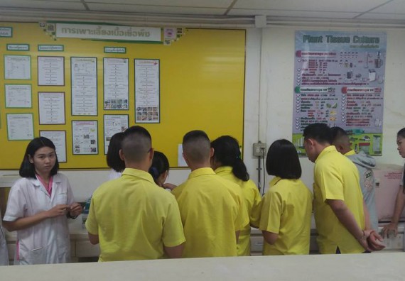 ภาพกิจกรรม โปรแกรมวิชาชีววิทยา จัดการอบรมการศึกษาความหลากหลายและอนุกรมวิธานพืช