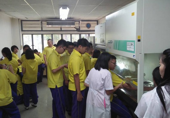 ภาพกิจกรรม โปรแกรมวิชาชีววิทยา จัดการอบรมการศึกษาความหลากหลายและอนุกรมวิธานพืช