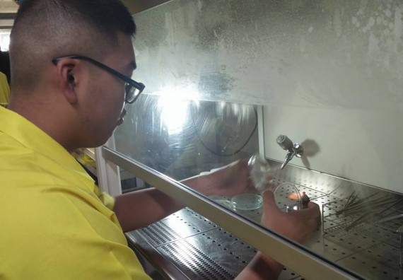 ภาพกิจกรรม โปรแกรมวิชาชีววิทยา จัดการอบรมการศึกษาความหลากหลายและอนุกรมวิธานพืช