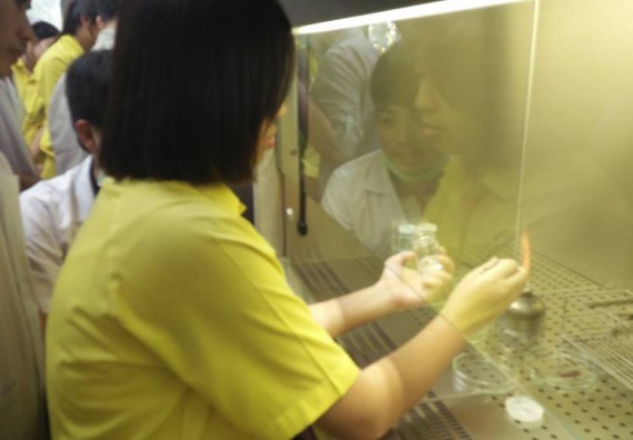 ภาพกิจกรรม โปรแกรมวิชาชีววิทยา จัดการอบรมการศึกษาความหลากหลายและอนุกรมวิธานพืช