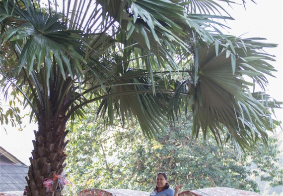 ภาพกิจกรรม โปรแกรมวิชาฟิสิกส์ จัดกิจกรรมค่ายดาราศาสตร์ สำหรับนักเรียนห้องเรียนพิเศษวิทยาศาสตร์ คณิตศาสตร์ และเทคโนโลยี (SMAT)