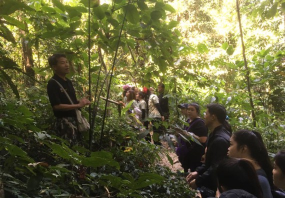 ภาพกิจกรรม โปรแกรมวิชาวิทยาศาสตร์สิ่งแวดล้อม จัดกิจกรรมการสำรวจศึกษาพรรณไม้ในท้องถิ่น