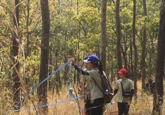 ภาพกิจกรรม โปรแกรมวิชาวิทยาศาสตร์สิ่งแวดล้อม จัดกิจกรรมการสำรวจศึกษาพรรณไม้ในท้องถิ่น