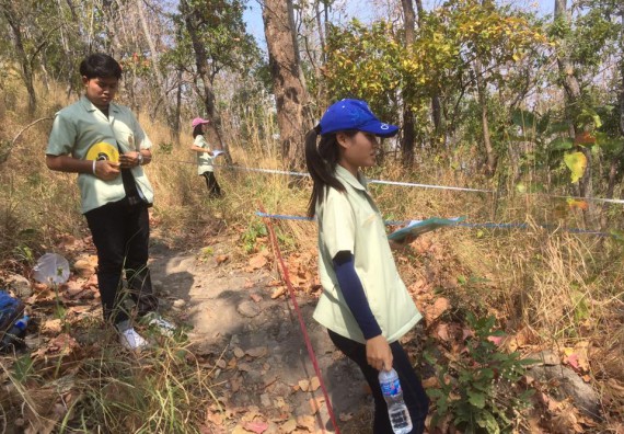 ภาพกิจกรรม โปรแกรมวิชาวิทยาศาสตร์สิ่งแวดล้อม จัดกิจกรรมการสำรวจศึกษาพรรณไม้ในท้องถิ่น