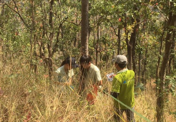 ภาพกิจกรรม โปรแกรมวิชาวิทยาศาสตร์สิ่งแวดล้อม จัดกิจกรรมการสำรวจศึกษาพรรณไม้ในท้องถิ่น