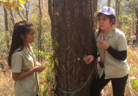 ภาพกิจกรรม โปรแกรมวิชาวิทยาศาสตร์สิ่งแวดล้อม จัดกิจกรรมการสำรวจศึกษาพรรณไม้ในท้องถิ่น