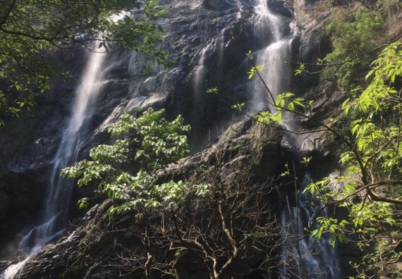 ภาพกิจกรรม โปรแกรมวิชาวิทยาศาสตร์สิ่งแวดล้อม จัดกิจกรรมการสำรวจศึกษาพรรณไม้ในท้องถิ่น