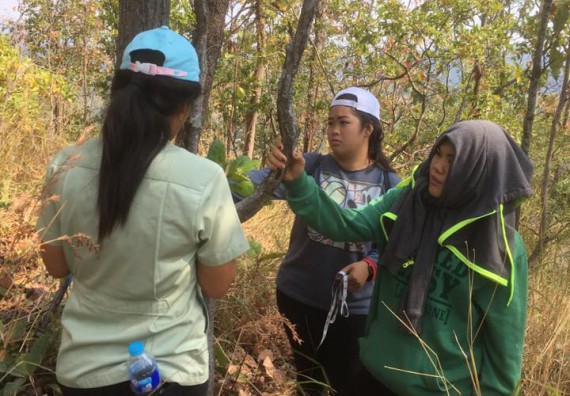 ภาพกิจกรรม โปรแกรมวิชาวิทยาศาสตร์สิ่งแวดล้อม จัดกิจกรรมการสำรวจศึกษาพรรณไม้ในท้องถิ่น