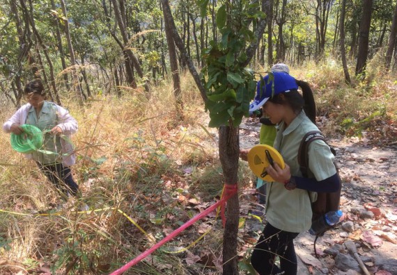 ภาพกิจกรรม โปรแกรมวิชาวิทยาศาสตร์สิ่งแวดล้อม จัดกิจกรรมการสำรวจศึกษาพรรณไม้ในท้องถิ่น