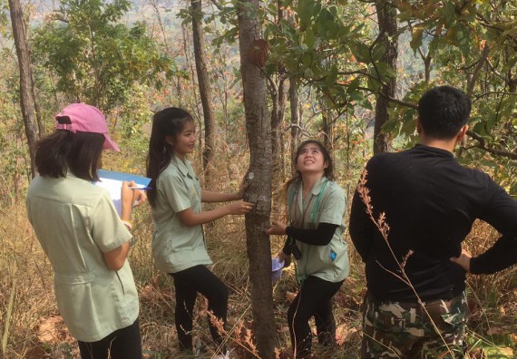 ภาพกิจกรรม โปรแกรมวิชาวิทยาศาสตร์สิ่งแวดล้อม จัดกิจกรรมการสำรวจศึกษาพรรณไม้ในท้องถิ่น