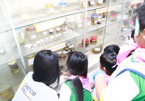 ภาพกิจกรรม ค่ายวิทยาศาสตร์โรงเรียนทรัพย์สถิตย์วิทยาคาร