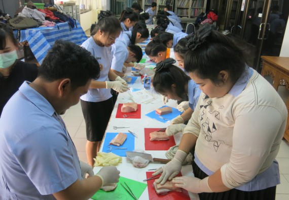 ภาพกิจกรรม โปรแกรมวิชาสาธารณสุขศาสตร์ จัดการอบรม  เรื่อง การเย็บแผล การตัดไหม