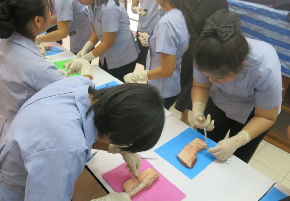 ภาพกิจกรรม โปรแกรมวิชาสาธารณสุขศาสตร์ จัดการอบรม  เรื่อง การเย็บแผล การตัดไหม