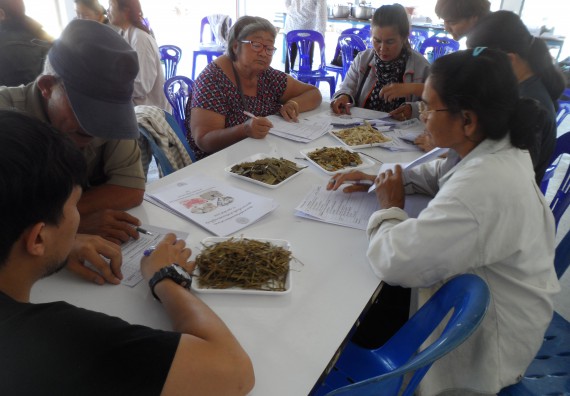 ภาพกิจกรรม โปรแกรมวิชาเกษตรศาสตร์ จัดโครงการอบรม การทำพืชหมักและการประเมินคุณภาพ