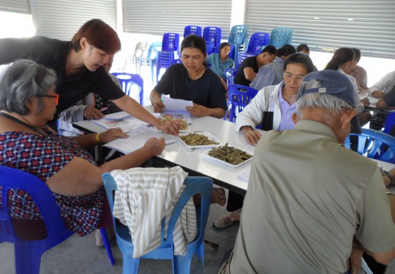 ภาพกิจกรรม โปรแกรมวิชาเกษตรศาสตร์ จัดโครงการอบรม การทำพืชหมักและการประเมินคุณภาพ