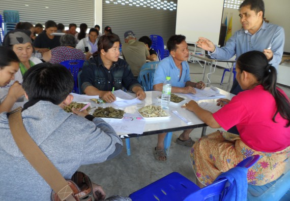 ภาพกิจกรรม โปรแกรมวิชาเกษตรศาสตร์ จัดโครงการอบรม การทำพืชหมักและการประเมินคุณภาพ