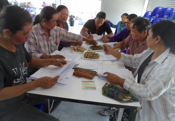 ภาพกิจกรรม โปรแกรมวิชาเกษตรศาสตร์ จัดโครงการอบรม การทำพืชหมักและการประเมินคุณภาพ