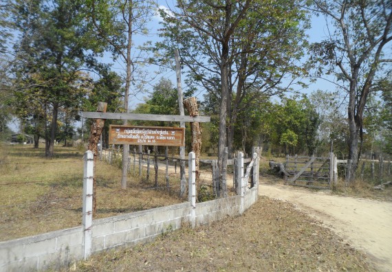 ภาพกิจกรรม โปรแกรมวิชาเกษตรศาสตร์ จัดโครงการอบรม พืชอาหารสัตว์และเทคนิคการคำนวณสูตรอาหารเบื้องต้น สำหรับเกษตรกรผู้เลี้ยงโค