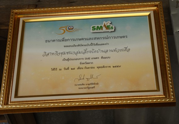 ภาพกิจกรรม โปรแกรมวิชาเกษตรศาสตร์ จัดโครงการอบรม พืชอาหารสัตว์และเทคนิคการคำนวณสูตรอาหารเบื้องต้น สำหรับเกษตรกรผู้เลี้ยงโค