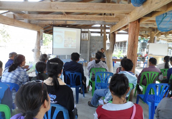 ภาพกิจกรรม โปรแกรมวิชาเกษตรศาสตร์ จัดโครงการอบรม พืชอาหารสัตว์และเทคนิคการคำนวณสูตรอาหารเบื้องต้น สำหรับเกษตรกรผู้เลี้ยงโค