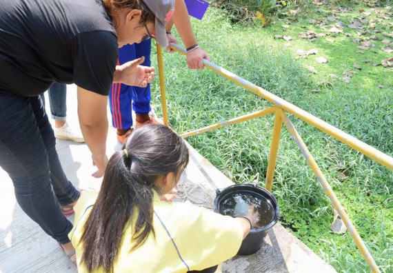 ภาพกิจกรรม โปรแกรมวิชาวิทยาศาสตร์สิ่งแวดล้อม จัดโครงการเยาวชนรักษ์สิ่งแวดล้อม กิจกรรมอบรมเชิงปฏิบัติการ คุณภาพน้ำและระบบนิเวศสิ่งแวดล้อม