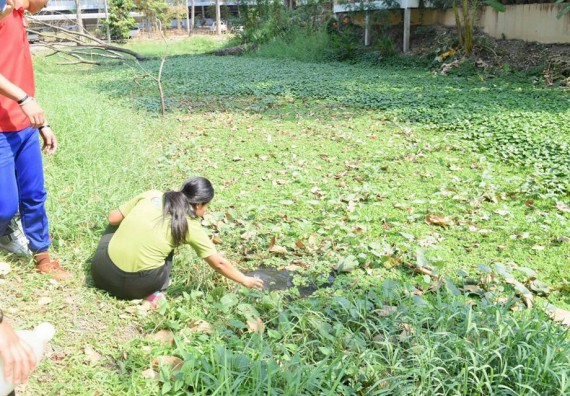 ภาพกิจกรรม โปรแกรมวิชาวิทยาศาสตร์สิ่งแวดล้อม จัดโครงการเยาวชนรักษ์สิ่งแวดล้อม กิจกรรมอบรมเชิงปฏิบัติการ คุณภาพน้ำและระบบนิเวศสิ่งแวดล้อม