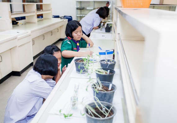 ภาพกิจกรรม ทักษะทางวิทยาศาสตร์และเทคโนโลยี ระดับมัธยมศึกษาตอนต้น