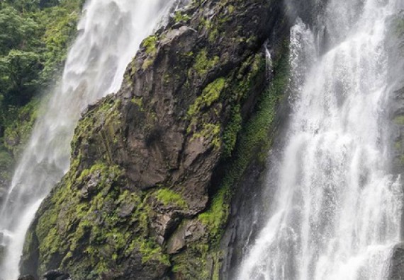 ภาพกิจกรรม คณะวิทยาศาสตร์และเทคโนโลยี จัดกิจกรรมการศึกษาความหลากหลายของนกและระบบนิเวศ