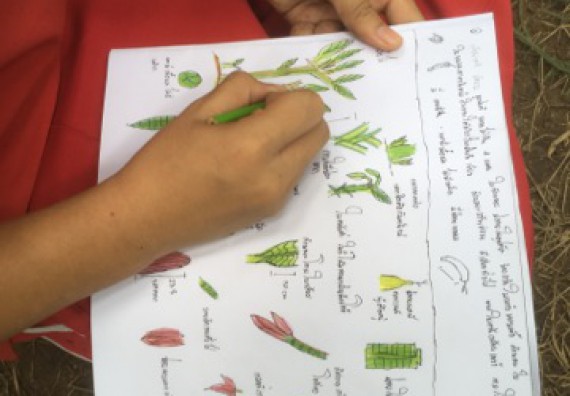 ภาพกิจกรรม คณะวิทยาศาสตร์และเทคโนโลยี เข้าร่วมโครงการอบรมสัมมนาเสริมสร้างศักยภาพในการอนุรักษ์สิ่งแวดล้อมธรรมชาติ หัวข้อ วิธีการวาดภาพทางพฤกษศาสตร์