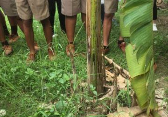 ภาพกิจกรรม คณะวิทยาศาสตร์และเทคโนโลยี เข้าร่วมโครงการอบรมสัมมนาเสริมสร้างศักยภาพในการอนุรักษ์สิ่งแวดล้อมธรรมชาติ หัวข้อ วิธีการวาดภาพทางพฤกษศาสตร์