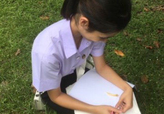 ภาพกิจกรรม คณะวิทยาศาสตร์และเทคโนโลยี เข้าร่วมโครงการอบรมสัมมนาเสริมสร้างศักยภาพในการอนุรักษ์สิ่งแวดล้อมธรรมชาติ หัวข้อ วิธีการวาดภาพทางพฤกษศาสตร์