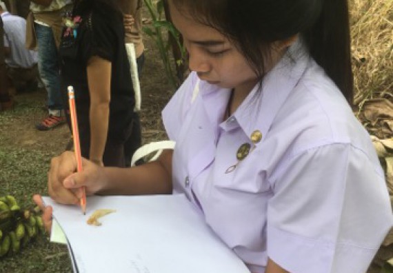 ภาพกิจกรรม คณะวิทยาศาสตร์และเทคโนโลยี เข้าร่วมโครงการอบรมสัมมนาเสริมสร้างศักยภาพในการอนุรักษ์สิ่งแวดล้อมธรรมชาติ หัวข้อ วิธีการวาดภาพทางพฤกษศาสตร์