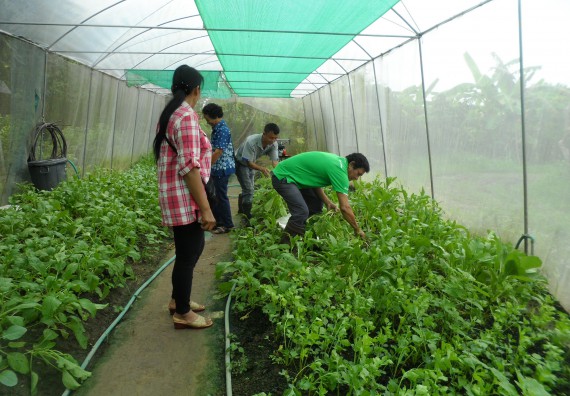 ภาพกิจกรรม โปรแกรมวิชาเกษตรศาสตร์ จัดโครงการศึกษาดูงานด้านเกษตร
