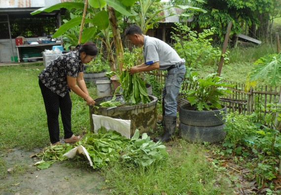 ภาพกิจกรรม โปรแกรมวิชาเกษตรศาสตร์ จัดโครงการศึกษาดูงานด้านเกษตร