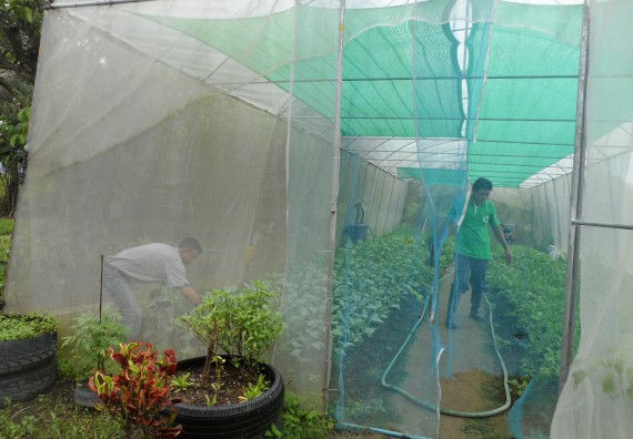 ภาพกิจกรรม โปรแกรมวิชาเกษตรศาสตร์ จัดโครงการศึกษาดูงานด้านเกษตร