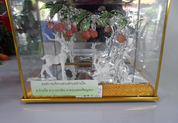 ภาพกิจกรรม โปรแกรมวิชาเกษตรศาสตร์ จัดโครงการศึกษาดูงานด้านเกษตร