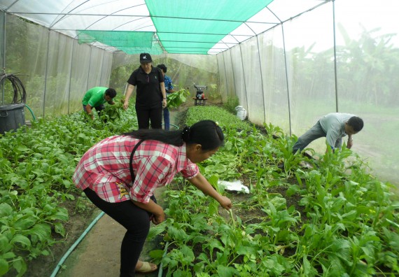 ภาพกิจกรรม โปรแกรมวิชาเกษตรศาสตร์ จัดโครงการศึกษาดูงานด้านเกษตร