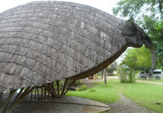 ภาพกิจกรรม โปรแกรมวิชาเกษตรศาสตร์ จัดโครงการศึกษาดูงานด้านเกษตร