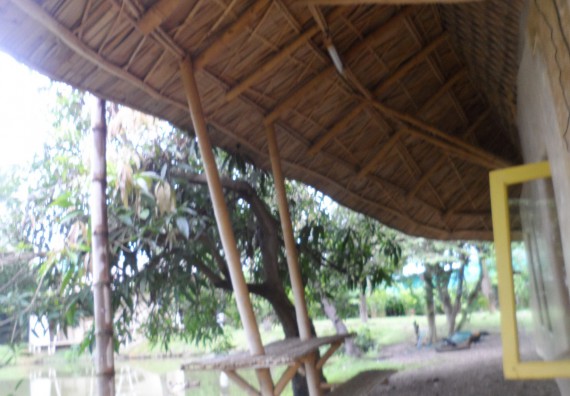 ภาพกิจกรรม โปรแกรมวิชาเกษตรศาสตร์ จัดโครงการศึกษาดูงานด้านเกษตร