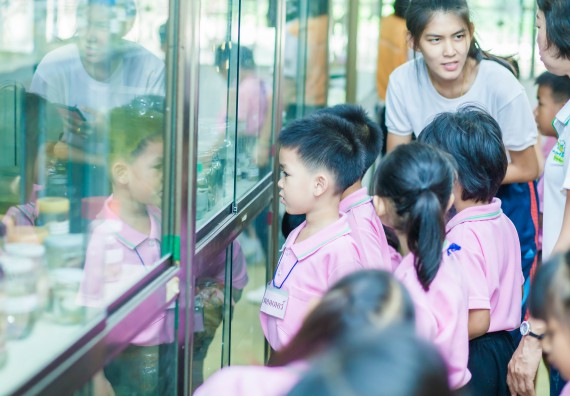 ภาพกิจกรรม คณะวิทยาศาสตร์และเทคโนโลยี จัดกิจกรรมค่ายวิทยาศาสตร์โรงเรียนสาธิตฯ ระดับชั้นอนุบาล