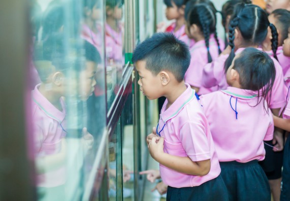 ภาพกิจกรรม คณะวิทยาศาสตร์และเทคโนโลยี จัดกิจกรรมค่ายวิทยาศาสตร์โรงเรียนสาธิตฯ ระดับชั้นอนุบาล